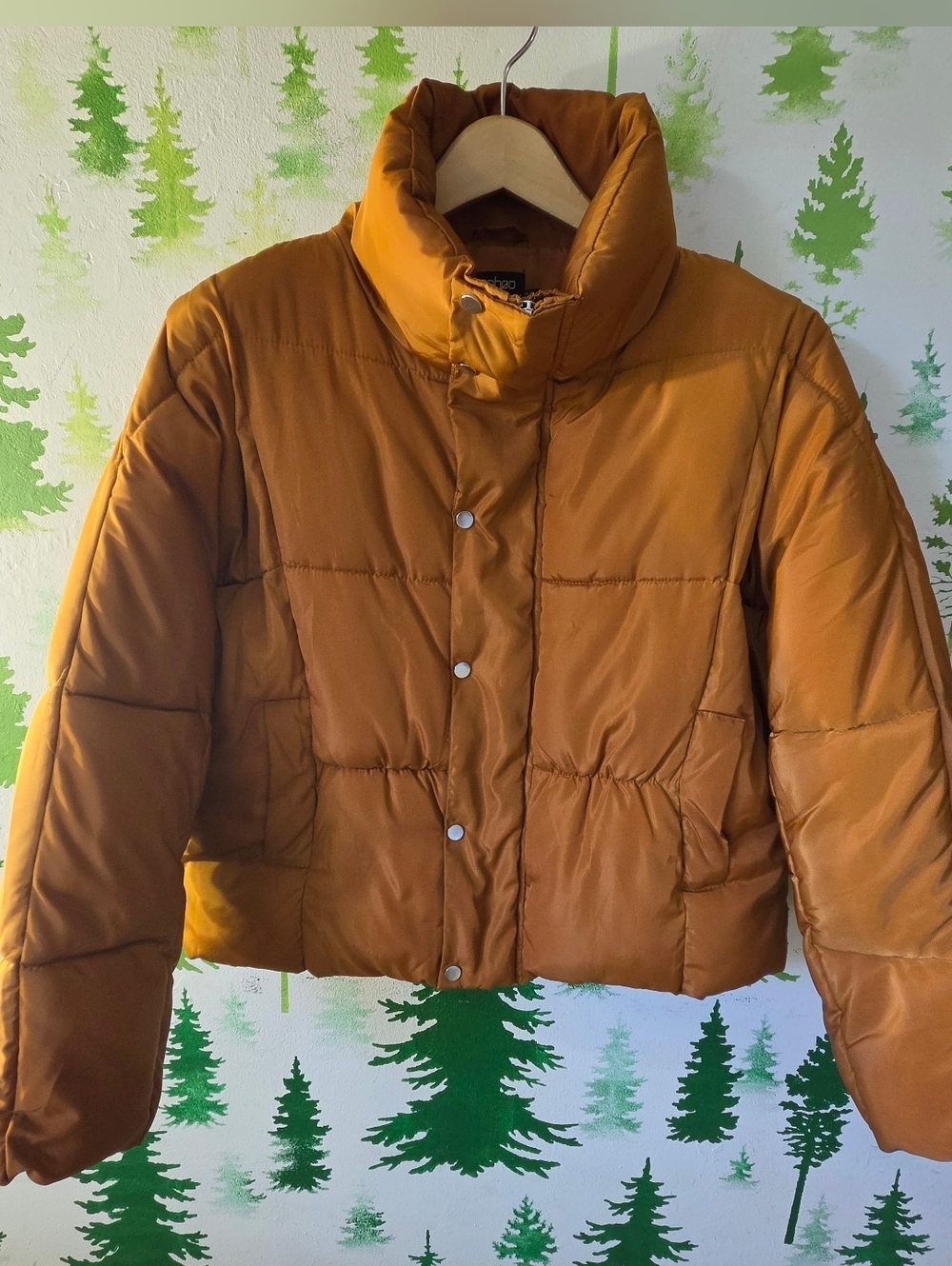 Women's Cropped Puffer Jacket in Rust Brown